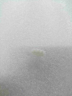 Phụ tùng Hộp tiền MEI 252029017P200 BNF Bánh răng trụ 12T-24DP Phụ kiện thay thế Hộp tiền ATM